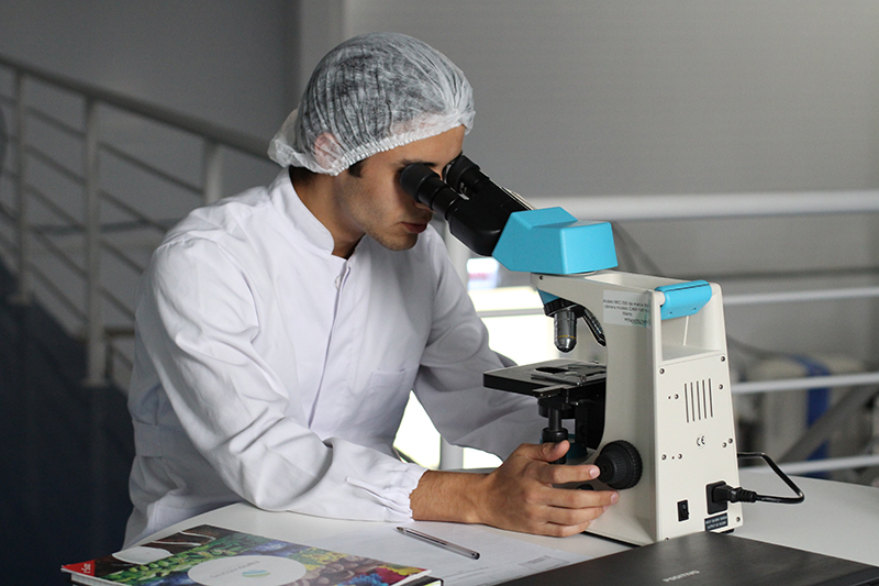 Polymer synthesis researcher at work